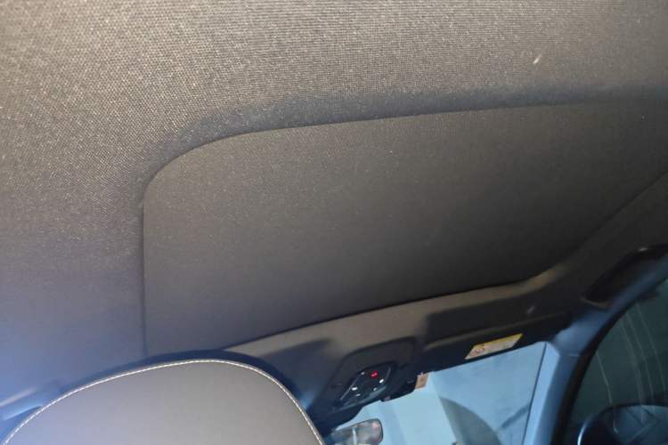 Used Audi A6L 2020 40 TFSI Luxury Dynamic Edition Headliner