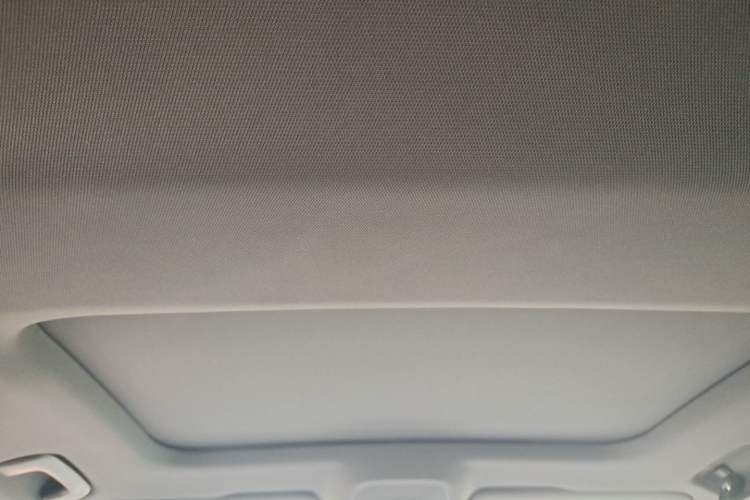 Used Audi A6L 2020 40 TFSI Luxury Dynamic Edition Headliner
