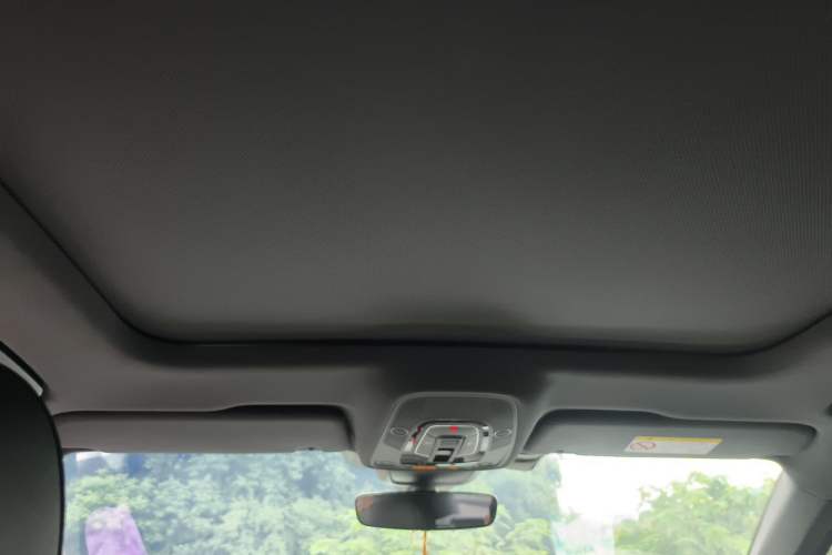 Used Audi A6L 2020 40 TFSI Luxury Dynamic Edition Headliner