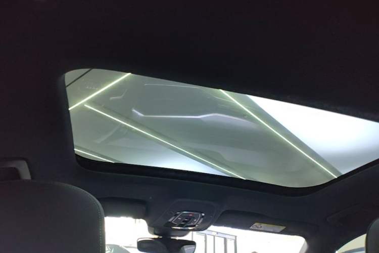 Used Audi A6L 2020 40 TFSI Luxury Dynamic Edition Headliner