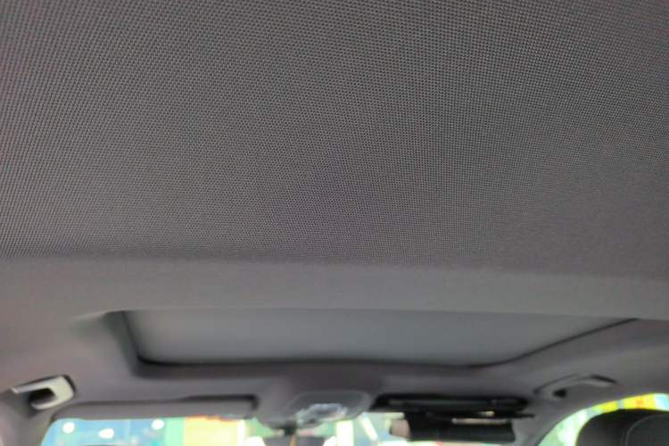 Used Audi A6L 2020 40 TFSI Luxury Dynamic Edition Headliner