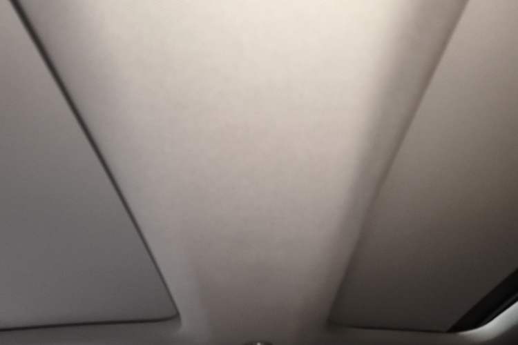 Used Audi A6L 2020 45 TFSI Prestige Elegant Edition Headliner