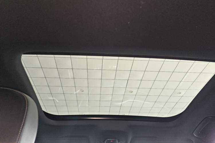 Used Audi A6L 2020 40 TFSI Luxury Dynamic Edition Headliner