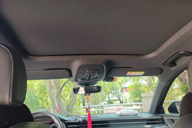 Used Audi A6L 2020 40 TFSI Luxury Dynamic Edition Headliner