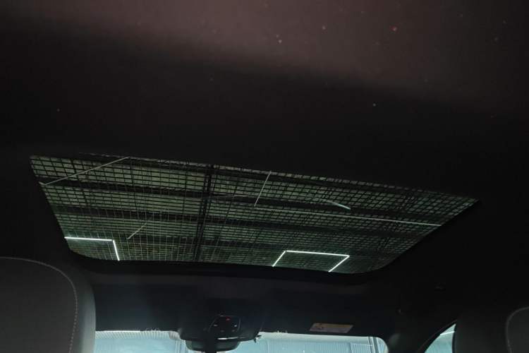 Used Audi A6L 2020 40 TFSI Luxury Dynamic Edition Headliner