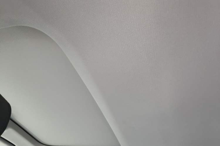 Used Audi A6L 2020 40 TFSI Luxury Prestige Edition Headliner