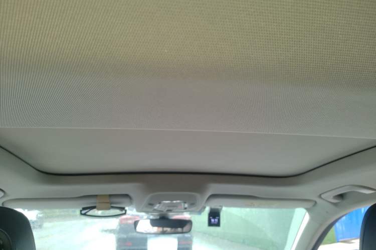 Used Audi A6L 2020 40 TFSI Luxury Prestige Edition Headliner