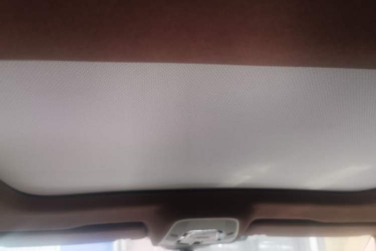 Used Audi A6L 2020 40 TFSI Luxury Prestige Edition Headliner
