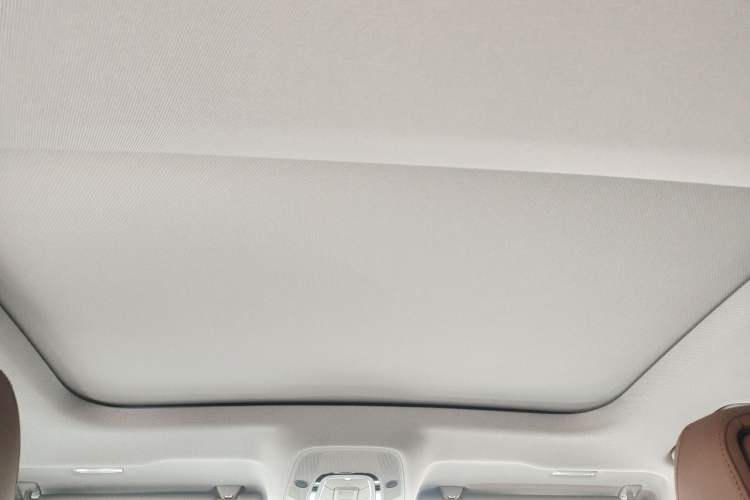Used Audi A6L 2020 40 TFSI Luxury Prestige Edition Headliner
