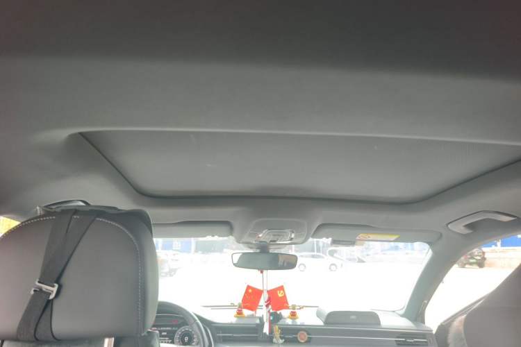 Used Audi A6L 2020 40 TFSI Luxury Dynamic Edition Headliner