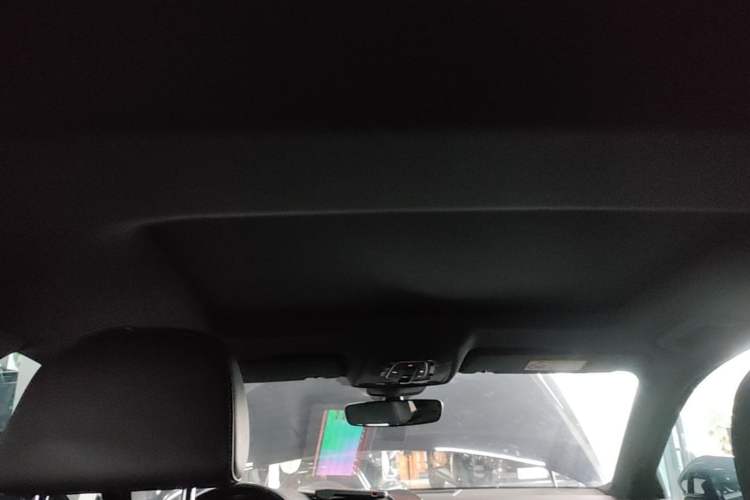 Used Audi A6L 2020 40 TFSI Luxury Dynamic Edition Headliner