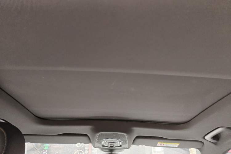Used Audi A6L 2020 40 TFSI Luxury Dynamic Edition Headliner