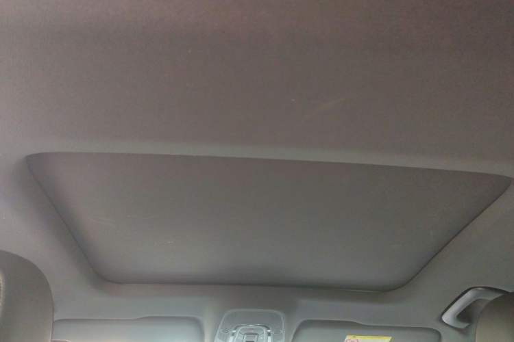 Used Audi A6L 2020 40 TFSI Luxury Dynamic Edition Headliner