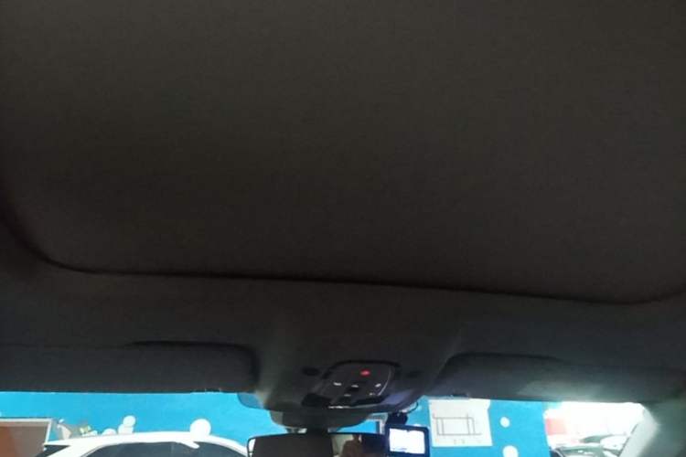 Used Audi A6L 2020 45 TFSI Prestige Elegant Edition Headliner
