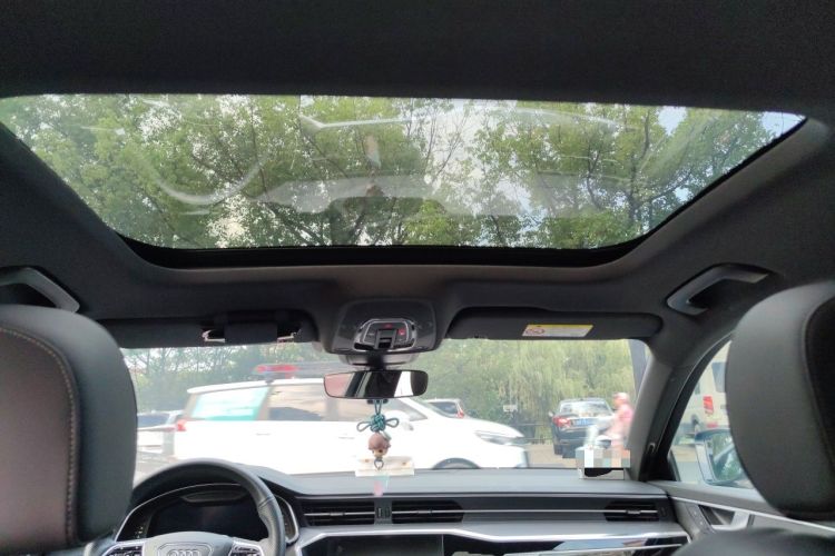 Used Audi A6L 2020 40 TFSI Luxury Dynamic Edition Headliner