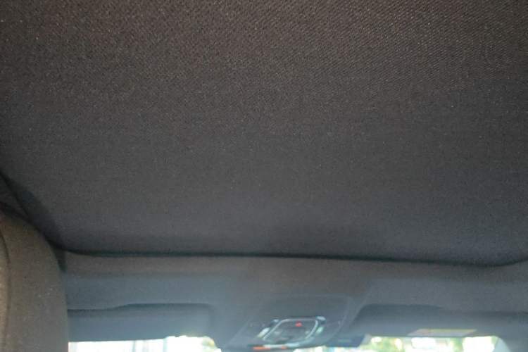 Used Audi A6L 2020 40 TFSI Luxury Dynamic Edition Headliner