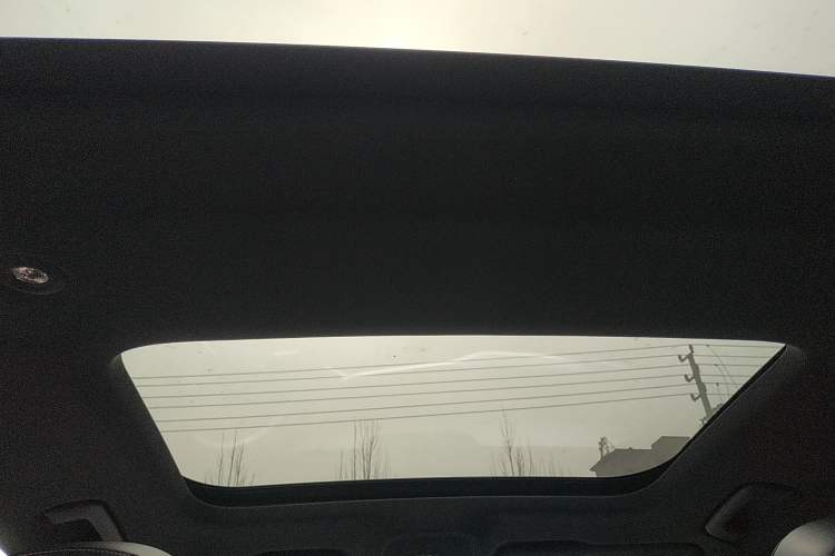 Used Audi A6L 2020 40 TFSI Luxury Dynamic Edition Headliner