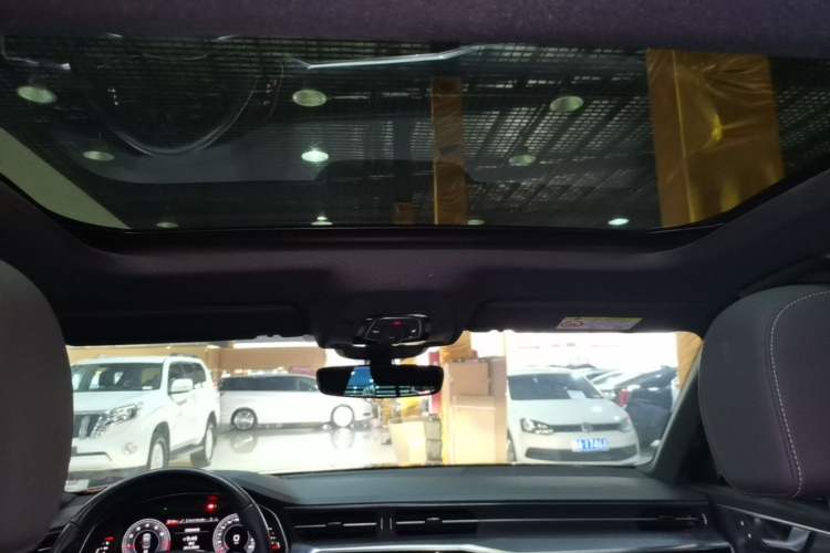 Used Audi A6L 2020 40 TFSI Luxury Dynamic Edition Headliner