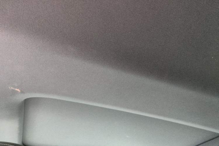 Used Audi A6L 2020 40 TFSI Luxury Dynamic Edition Headliner