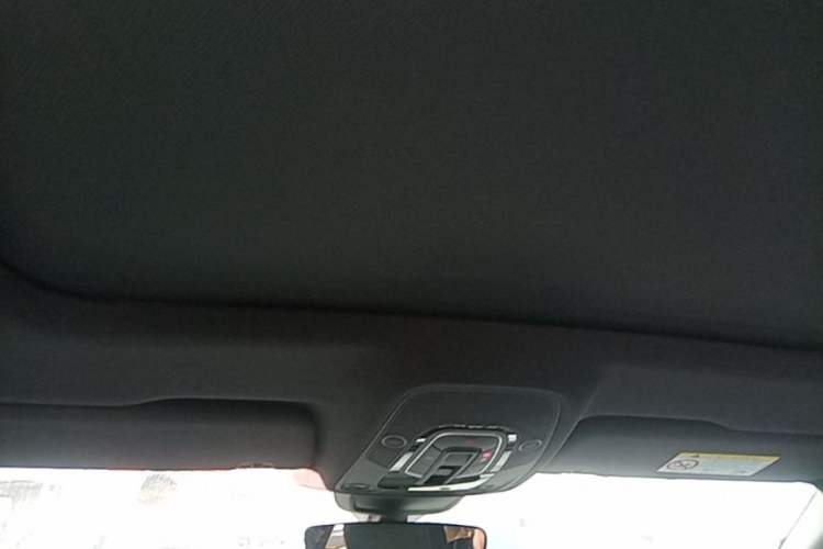 Used Audi A6L 2020 40 TFSI Luxury Dynamic Edition Headliner