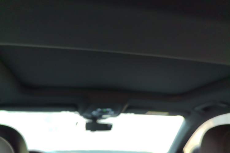 Used Audi A6L 2020 40 TFSI Luxury Dynamic Edition Headliner