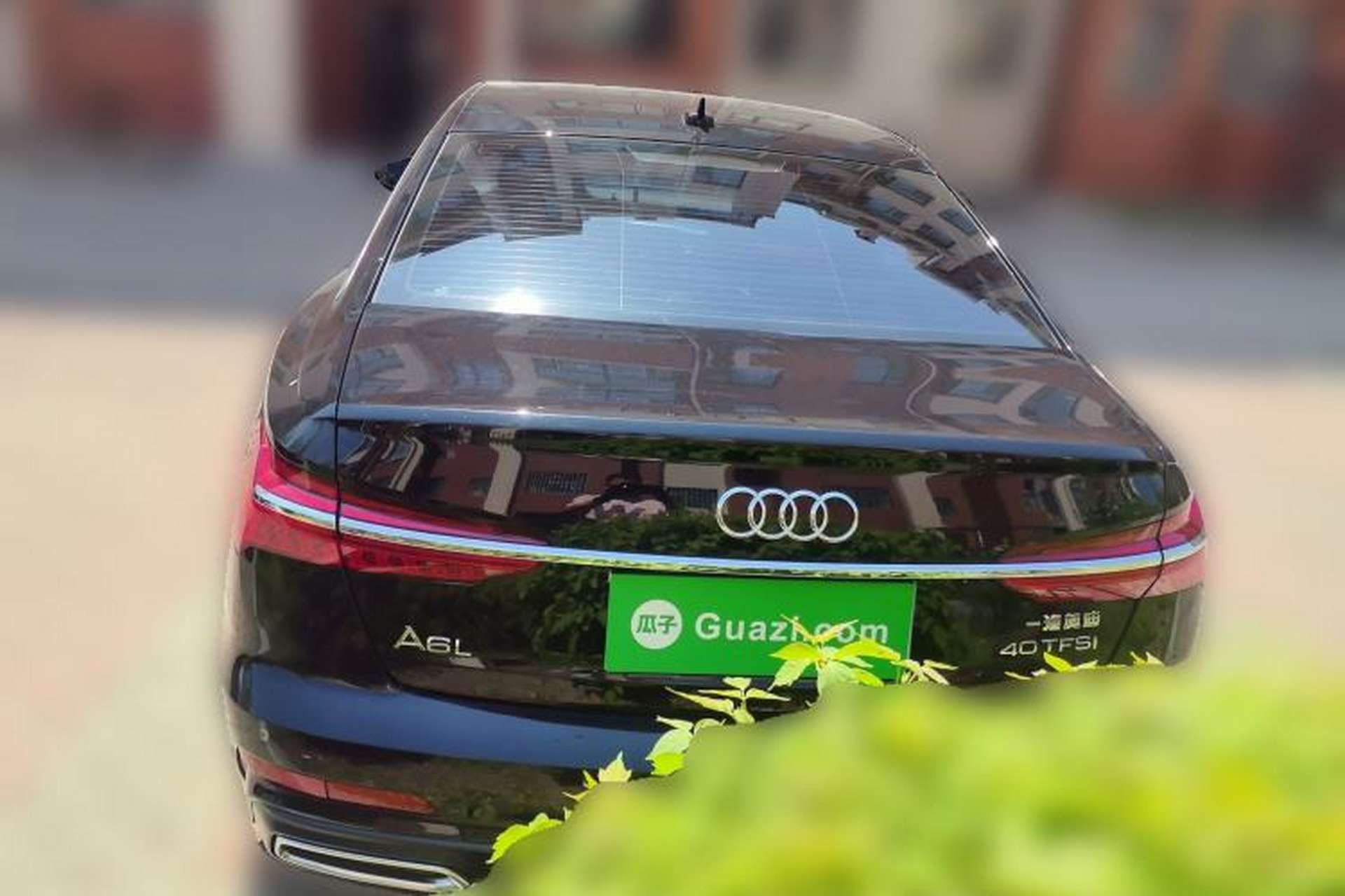 Used Audi A6L 2020 40 TFSI Luxury Dynamic Edition Rear