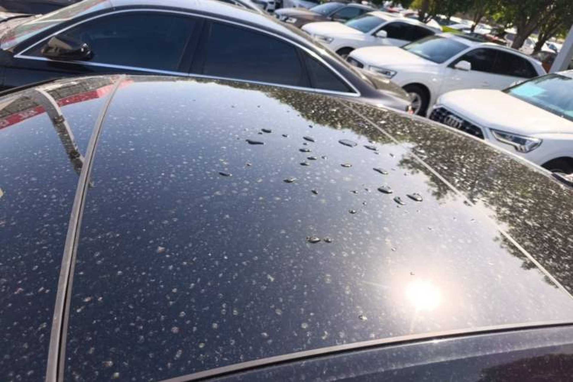 Used Audi A6L 2020 45 TFSI Prestige Dynamic Edition Roof