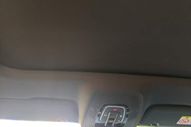 Used Audi A6L 2020 40 TFSI Luxury Dynamic Edition Headliner