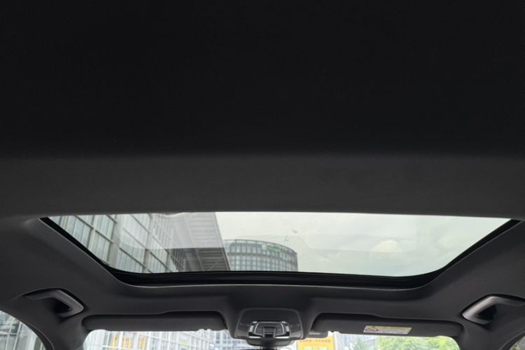 Used Audi A6L 2020 40 TFSI Luxury Dynamic Edition Headliner