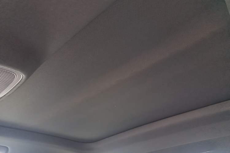 Used Audi A6L 2020 40 TFSI Luxury Dynamic Edition Headliner