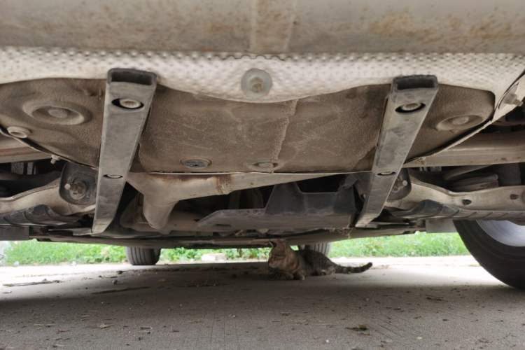 Used Audi A6L 2021 40 TFSI Luxury Prestige Edition Chassis Rear