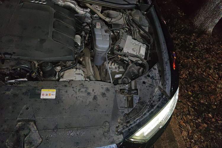 Used Audi A6L 2021 40 TFSI Luxury Dynamic Edition Engine Bay Left