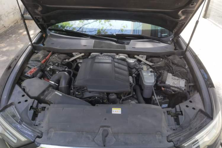 Used Audi A6L 2021 45 TFSI quattro Prestige Elegant Edition Engine Bay