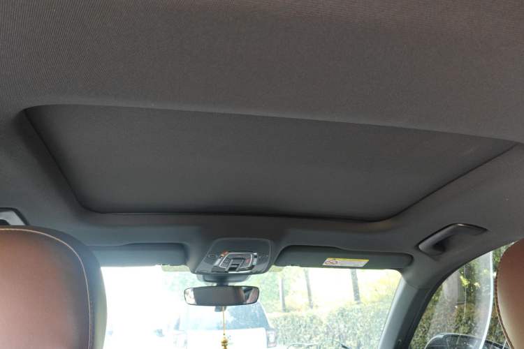 Used Audi A6L 2021 40 TFSI Luxury Dynamic Edition Headliner