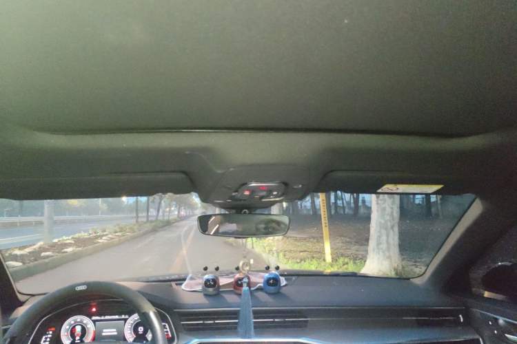 Used Audi A6L 2021 40 TFSI Luxury Dynamic Edition Headliner