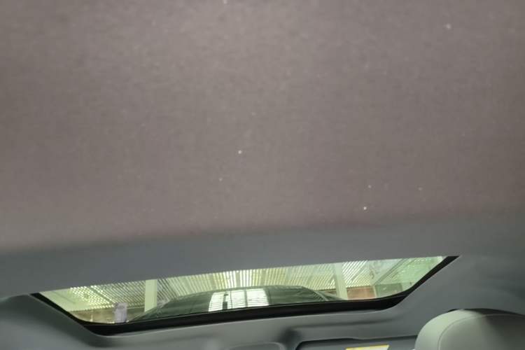Used Audi A6L 2021 40 TFSI Luxury Dynamic Edition Headliner