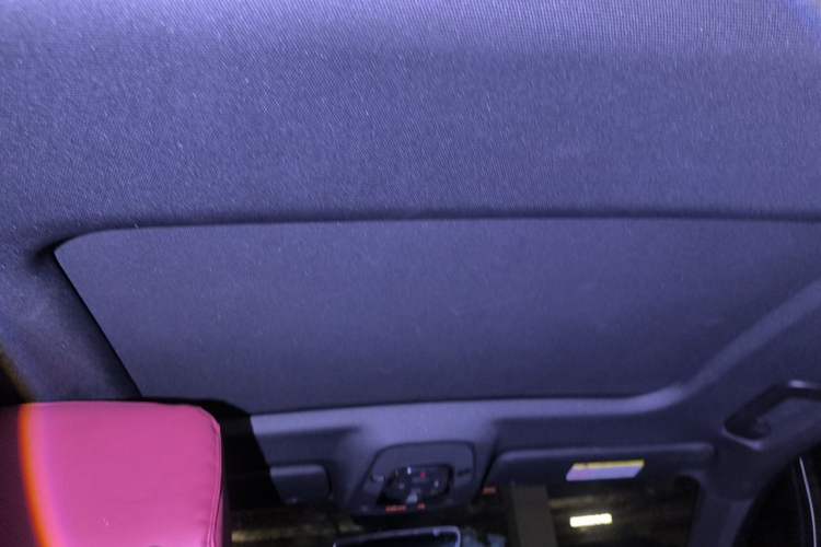 Used Audi A6L 2021 40 TFSI Luxury Dynamic Edition Headliner