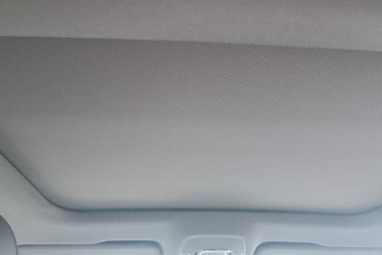 Used Audi A6L 2021 45 TFSI Enjoy Life Edition Headliner