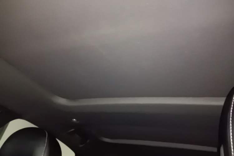 Used Audi A6L 2021 40 TFSI Luxury Dynamic Edition Headliner