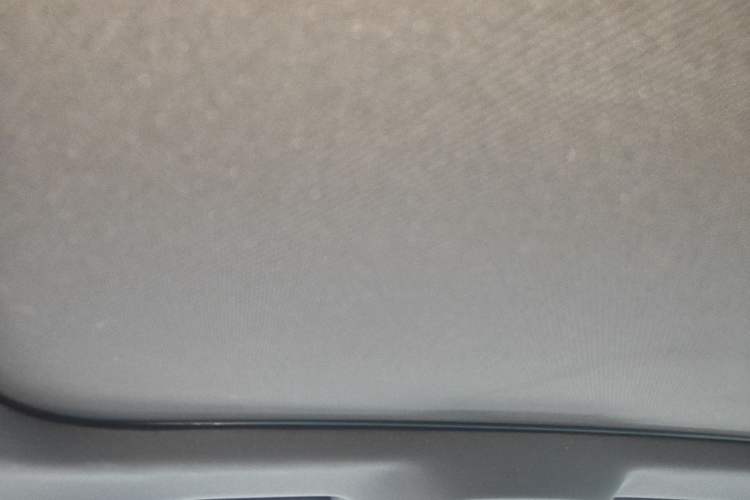 Used Audi A6L 2021 45 TFSI Prestige Dynamic Edition Headliner