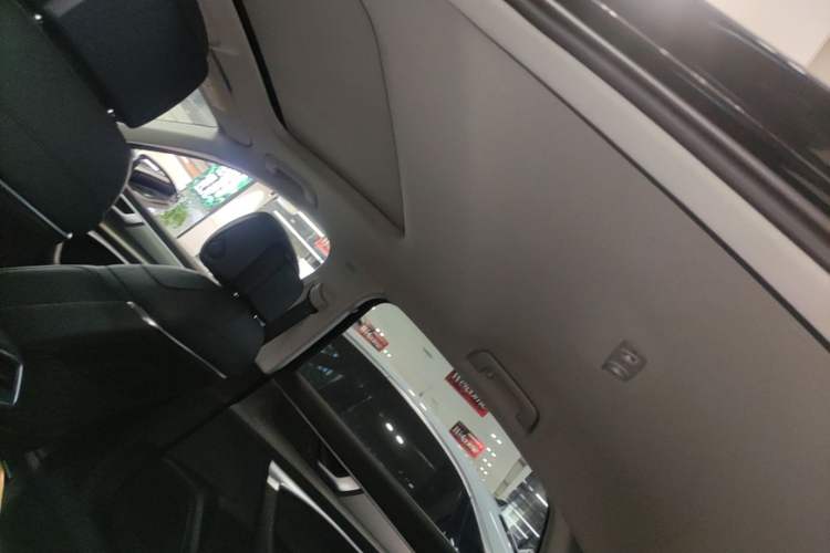 Used Audi A6L 2021 40 TFSI Luxury Prestige Edition Headliner