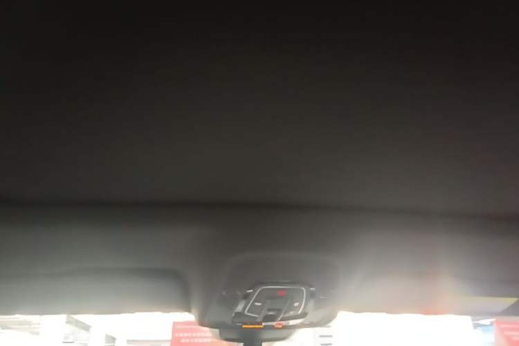 Used Audi A6L 2021 40 TFSI Luxury Dynamic Edition Headliner