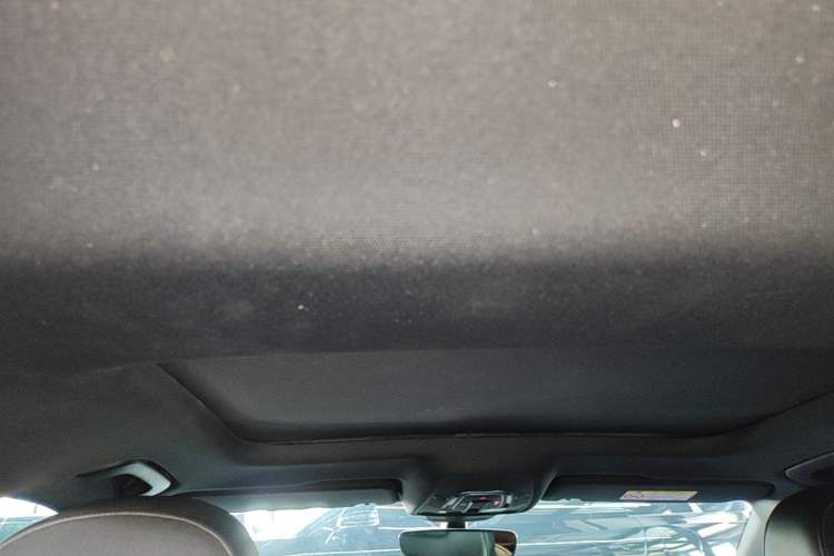 Used Audi A6L 2021 40 TFSI Luxury Dynamic Edition Headliner