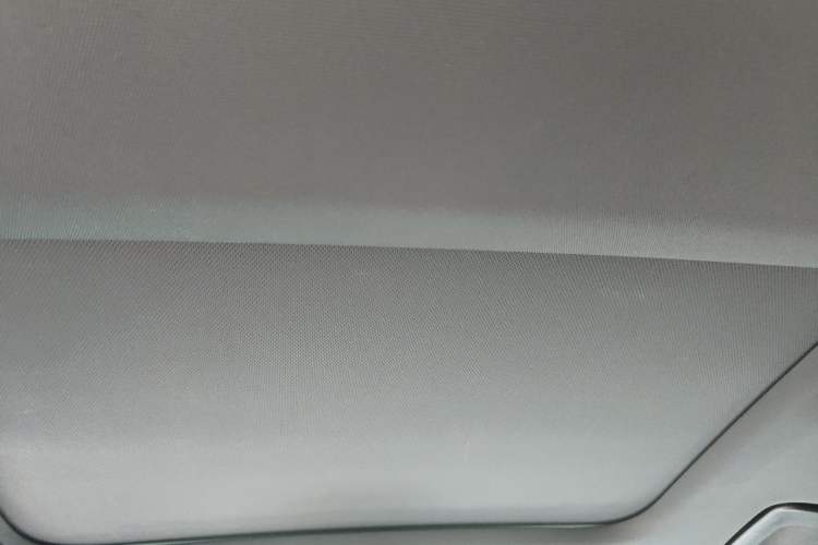 Used Audi A6L 2021 40 TFSI Luxury Dynamic Edition Headliner