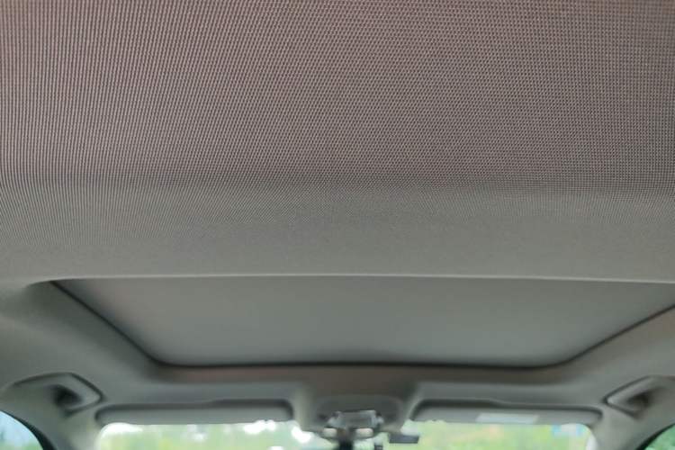 Used Audi A6L 2021 40 TFSI Luxury Prestige Edition Headliner