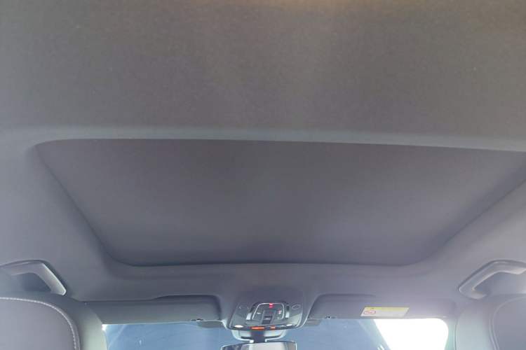Used Audi A6L 2021 40 TFSI Luxury Dynamic Edition Headliner