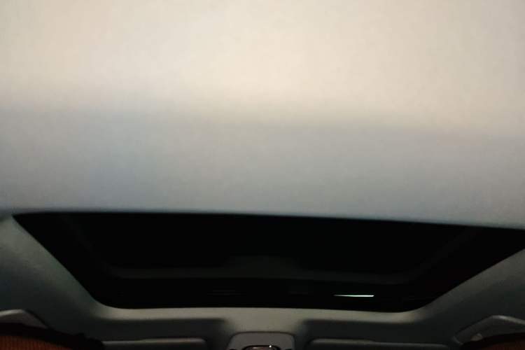 Used Audi A6L 2021 40 TFSI Luxury Prestige Edition Headliner