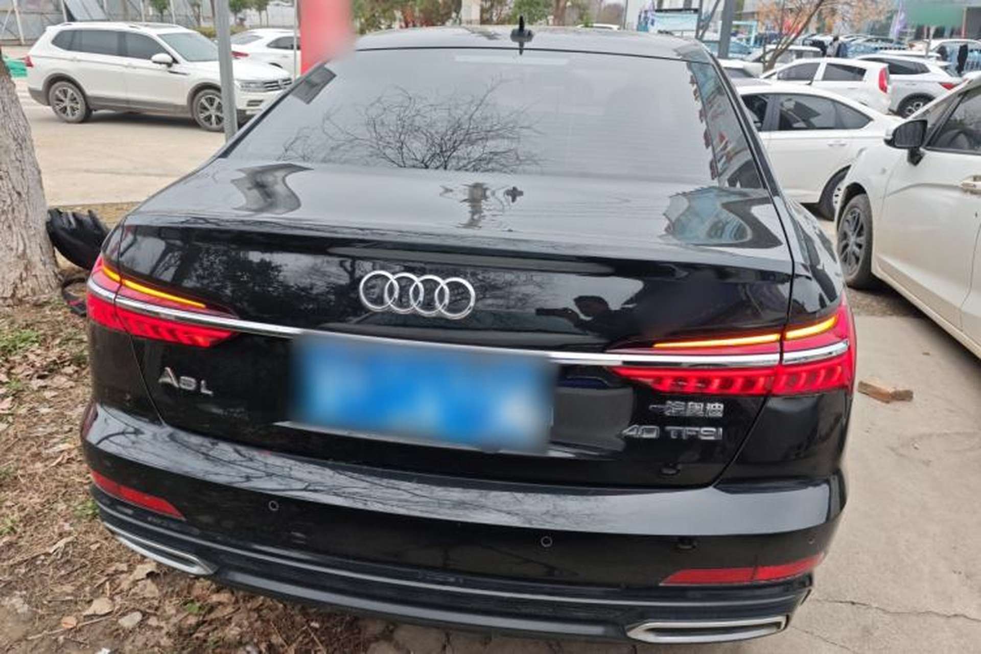 Used Audi A6L 2021 40 TFSI Luxury Dynamic Edition Rear