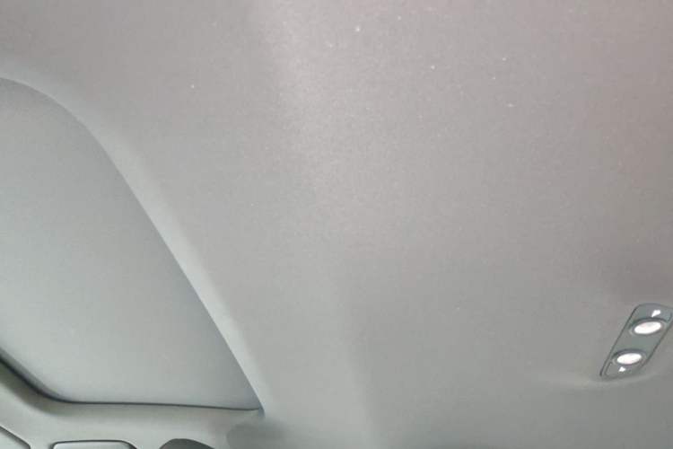 Used Audi A6L 2021 40 TFSI Luxury Dynamic Edition Headliner