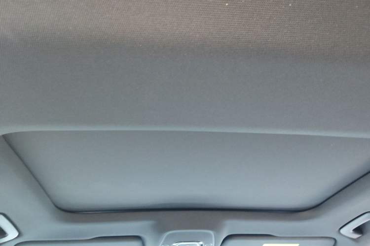 Used Audi A6L 2021 40 TFSI Luxury Dynamic Edition Headliner